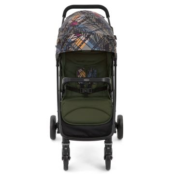 Carucior Graco Breaze Lite 2 Couture Fern