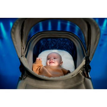 Carucior pentru copii Maxi-Cosi Fame Twillic Black 2 in 1