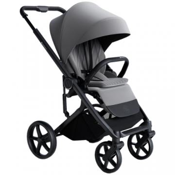 Carucior Avionaut Sirius 2 in 1 Grey