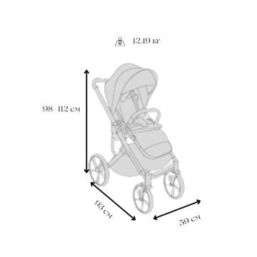 Carucior pentru copii Avionaut Sirius Beige 2 in 1 cu suspensie, maner telescopic, geanta, greutate admisa 22 kg