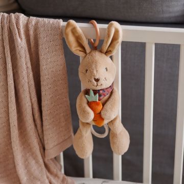 Jucarie muzicala Babyono Iepurasul Karo