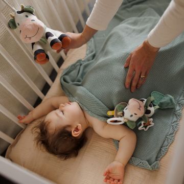 Jucarie muzicala Babyono Vacuta Bingo