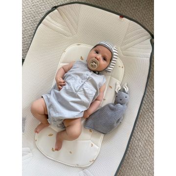 Patut pentru transport Voksi Carry Me Gri